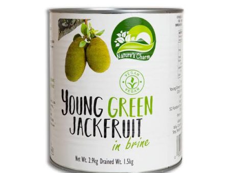 Nature s Charm Young Green Jackfruit in Brine 2.9kg Online Hot Sale