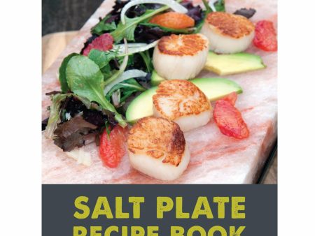 Charcoal Companion Himalayan Salt Plate Recipe Book Online now