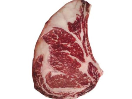 Angus Prime Beef Ribeye Bone-in 300-330g Dry Aged Steak Cut Cheap