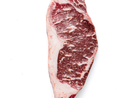 Australian Angus Beef Striploin Boneless 300-330g Wet Aged Steak Cut Supply